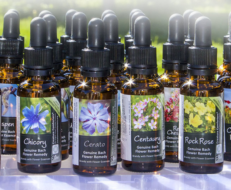 Golden Bay Iridology Flower Essences