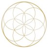 Golden Seed of Life Golden Bay Iridology